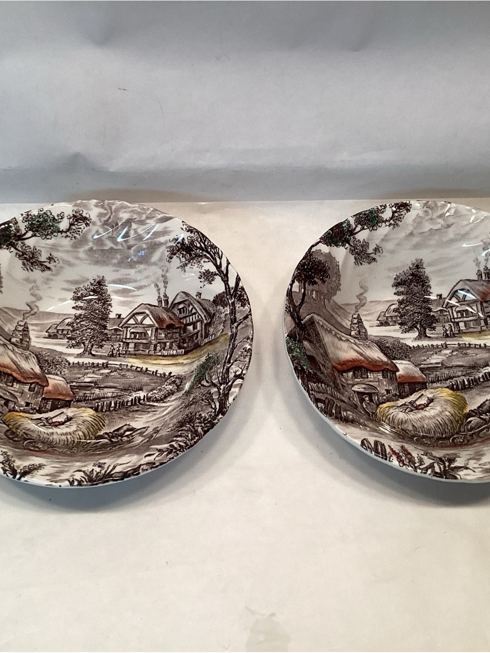 STAFFORDSHIRE 2 Cereal Bowls Yorkshire Multicolor Ironstone Transferware Brown